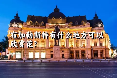 布加勒斯特有什么地方可以欣赏花？