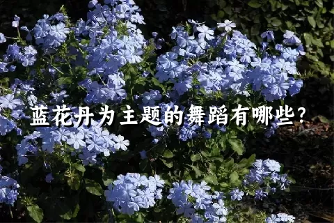 蓝花丹为主题的舞蹈有哪些？