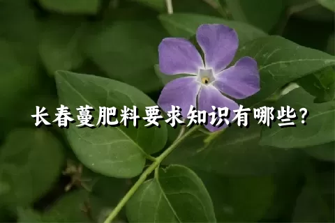 长春蔓肥料要求知识有哪些？