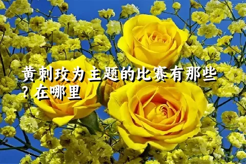 黄刺玫为主题的比赛有那些？在哪里
