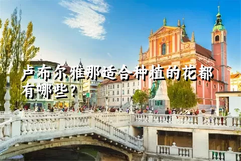 卢布尔雅那适合种植的花都有哪些？