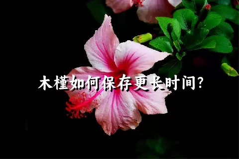 木槿如何保存更长时间？