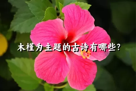 木槿为主题的古诗有哪些？