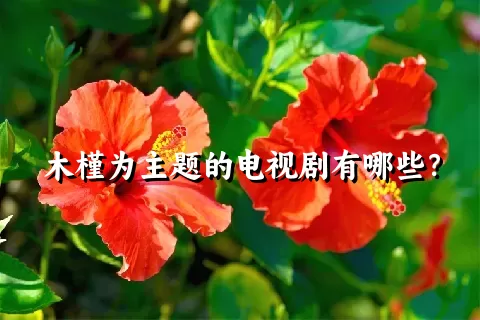 木槿为主题的电视剧有哪些？