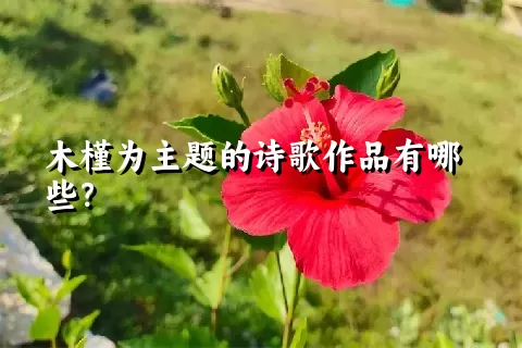 木槿为主题的诗歌作品有哪些？