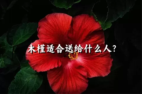 木槿适合送给什么人？