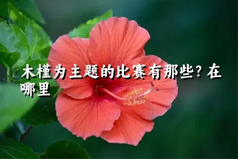 木槿为主题的比赛有那些？在哪里