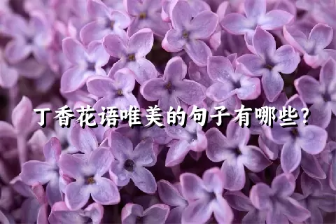 丁香花语唯美的句子有哪些？