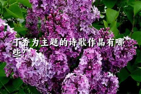 丁香为主题的诗歌作品有哪些？