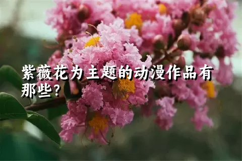 紫薇花为主题的动漫作品有那些？