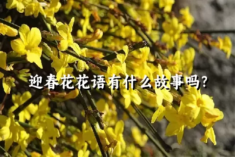 迎春花花语有什么故事吗？