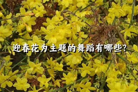 迎春花为主题的舞蹈有哪些？