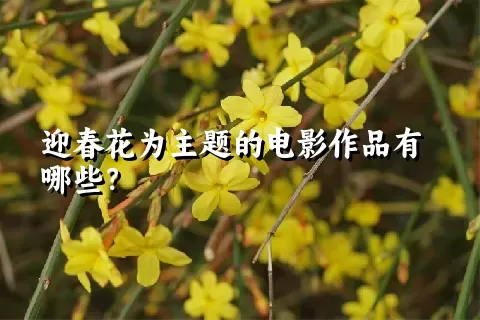 迎春花为主题的电影作品有哪些？