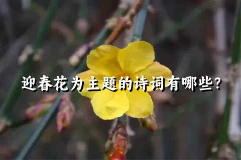 迎春花为主题的诗词有哪些？