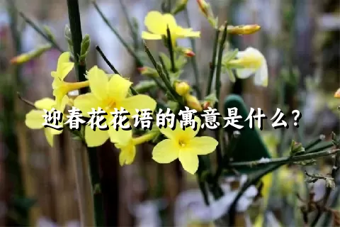 迎春花花语的寓意是什么？