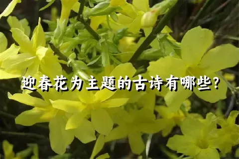 迎春花为主题的古诗有哪些？