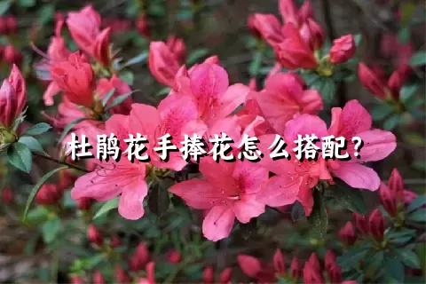 杜鹃花手捧花怎么搭配？