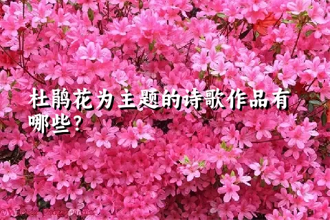 杜鹃花为主题的诗歌作品有哪些？