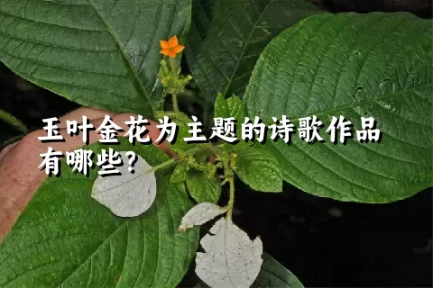 玉叶金花为主题的诗歌作品有哪些？