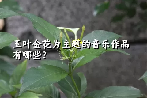 玉叶金花为主题的音乐作品有哪些？
