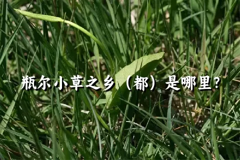 瓶尔小草之乡（都）是哪里？