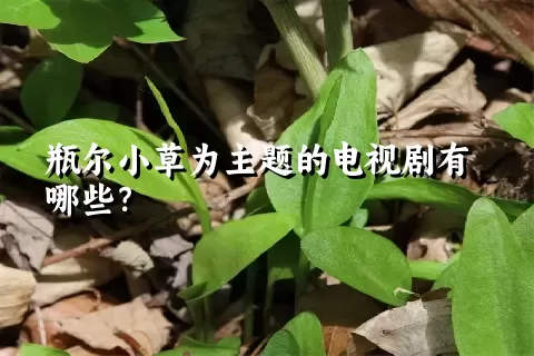 瓶尔小草为主题的电视剧有哪些？