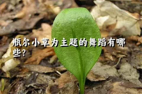 瓶尔小草为主题的舞蹈有哪些？
