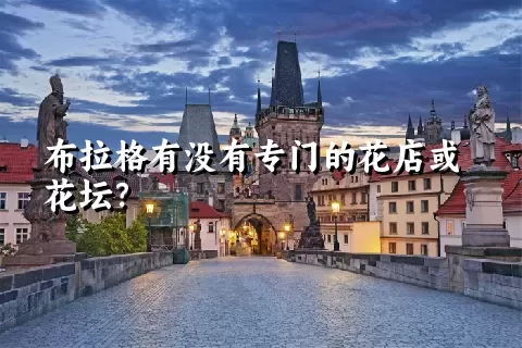 布拉格有没有专门的花店或花坛？