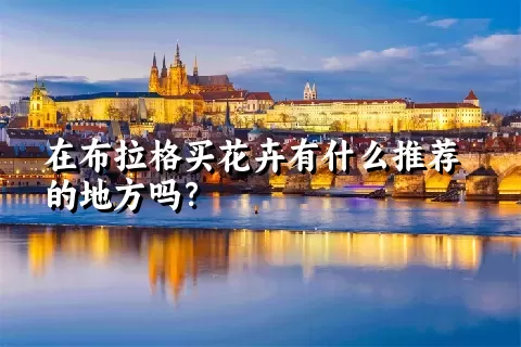 在布拉格买花卉有什么推荐的地方吗？