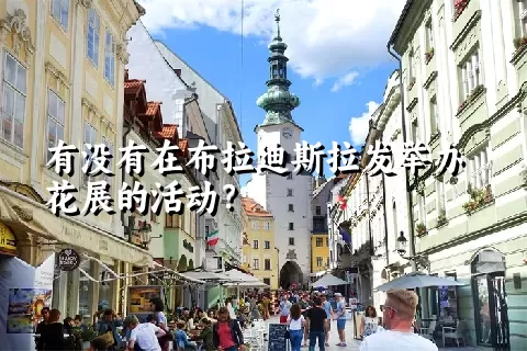 有没有在布拉迪斯拉发举办花展的活动？