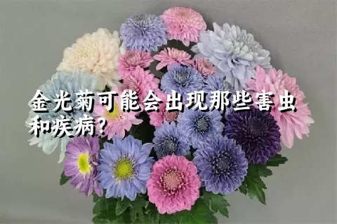 金光菊可能会出现那些害虫和疾病？