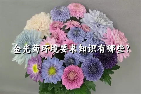 金光菊环境要求知识有哪些？
