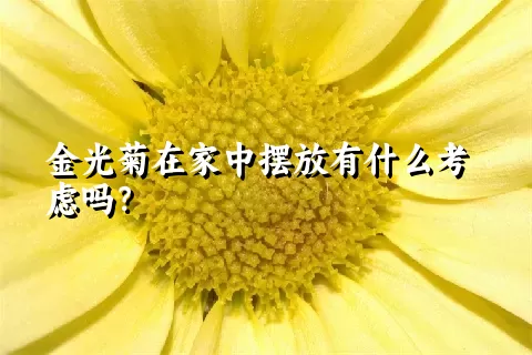 金光菊在家中摆放有什么考虑吗？