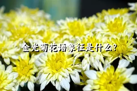 金光菊花语象征是什么？