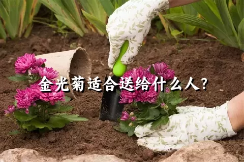 金光菊适合送给什么人？