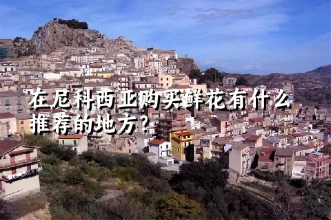 在尼科西亚购买鲜花有什么推荐的地方？