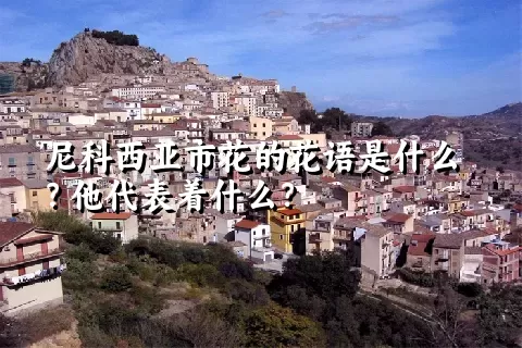 尼科西亚市花的花语是什么？他代表着什么？
