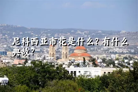 尼科西亚市花是什么？有什么典故？