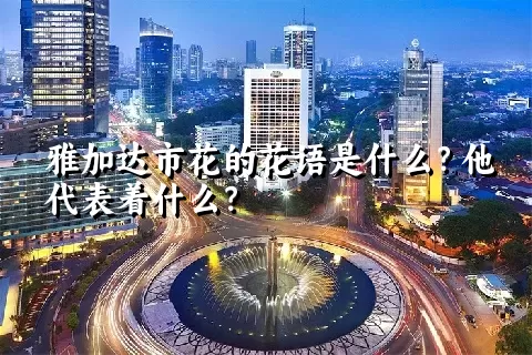 雅加达市花的花语是什么？他代表着什么？