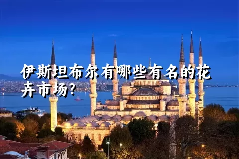 伊斯坦布尔有哪些有名的花卉市场？