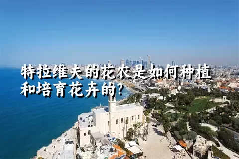 特拉维夫的花农是如何种植和培育花卉的？