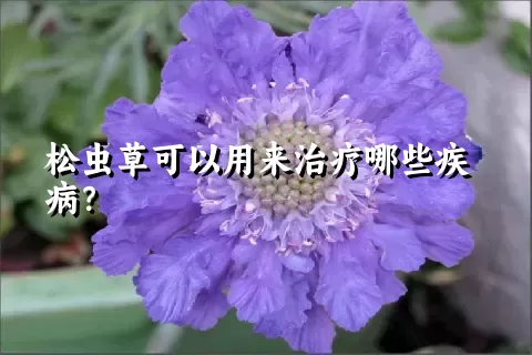 松虫草可以用来治疗哪些疾病？