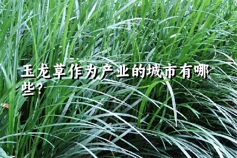 玉龙草作为产业的城市有哪些？