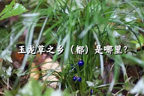 玉龙草之乡（都）是哪里？