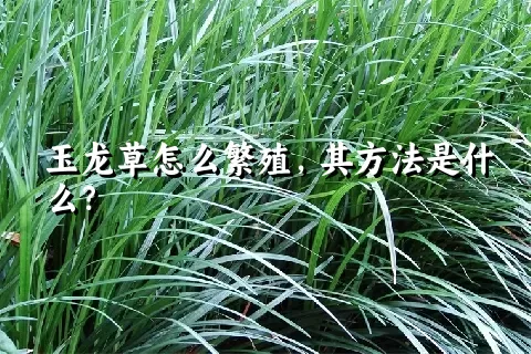 玉龙草怎么繁殖，其方法是什么？