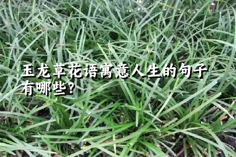玉龙草花语寓意人生的句子有哪些？