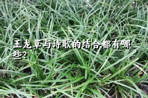 玉龙草与诗歌的结合都有哪些？