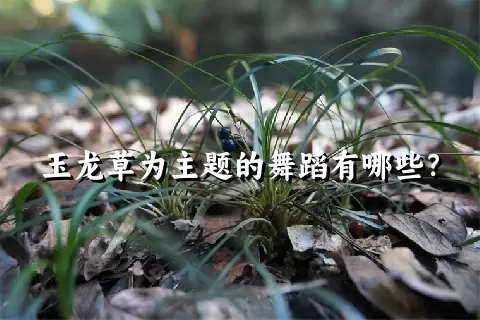 玉龙草为主题的舞蹈有哪些？