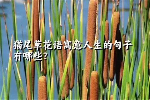 猫尾草花语寓意人生的句子有哪些？
