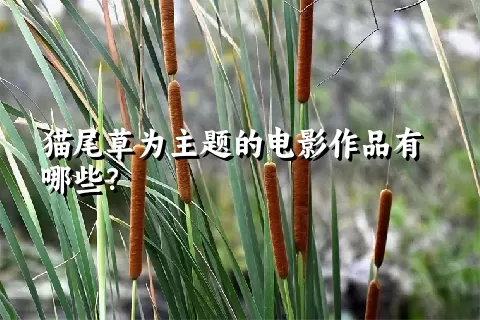 猫尾草为主题的电影作品有哪些？